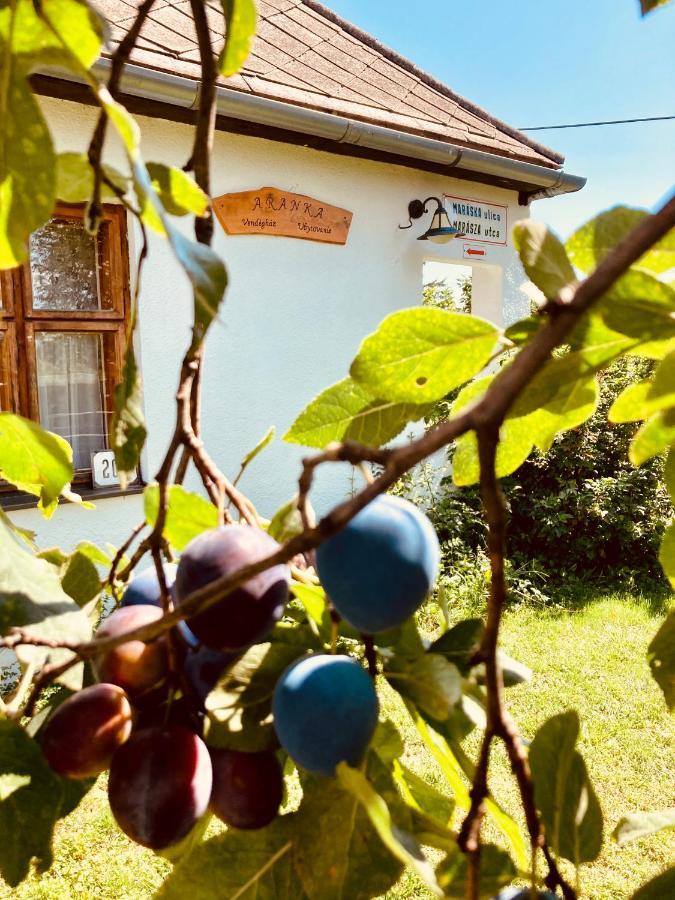 Ubytovanie U Aranky Cierna nad Tisou Exterior photo